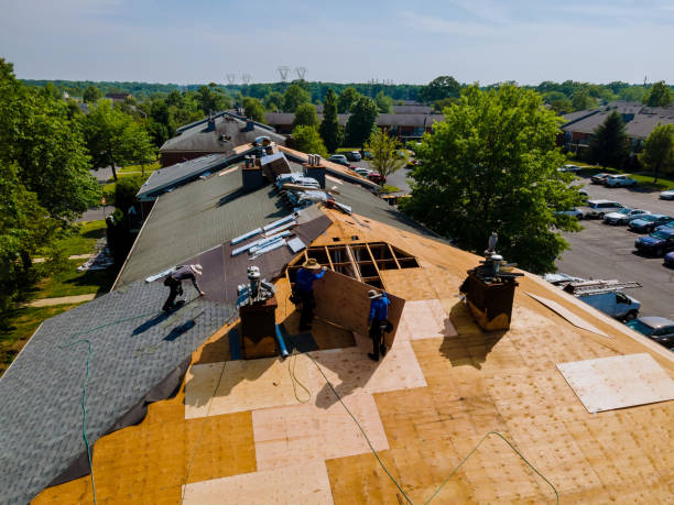 Best Storm Damage Roof Repair  in Richmond West, FL