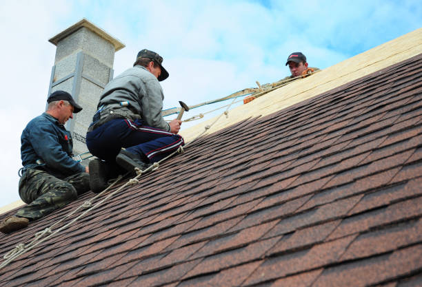 Best Roof Leak Repair  in Richmond West, FL